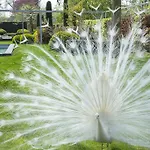 H-house Architectural Landhaus