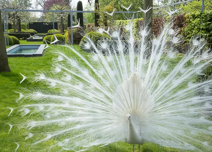 H-house Architectural Casa rural