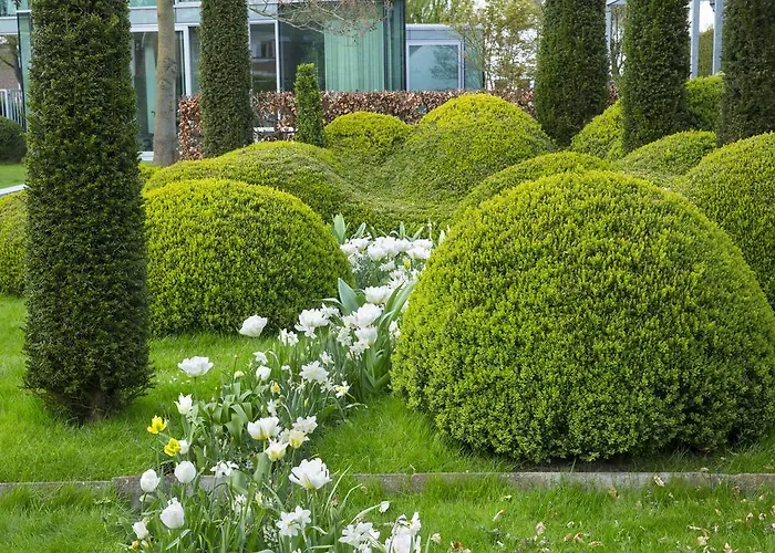 H-house Architectural