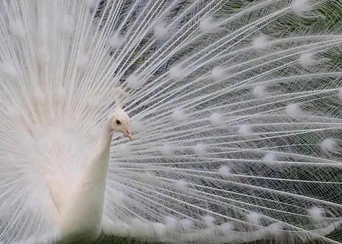 Casa rural H-house Architectural Maastricht